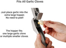 Load image into Gallery viewer, Garlic Press, from Zyliss