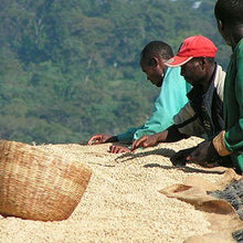 Load image into Gallery viewer, Marrakesh Express Coffee