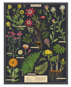 Herbarium Puzzle (1000 pc)