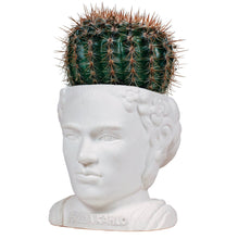 Load image into Gallery viewer, Fertile Minds Planters - Unemployed Philosophers