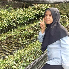 Load image into Gallery viewer, Sumatra French Roast Coffee