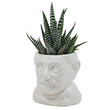 Load image into Gallery viewer, Fertile Minds Planters - Unemployed Philosophers
