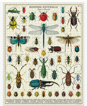 Load image into Gallery viewer, Bugs and Insects Puzzle (1000pc)
