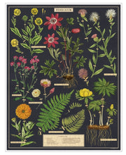 Load image into Gallery viewer, Herbarium Puzzle (1000 pc)
