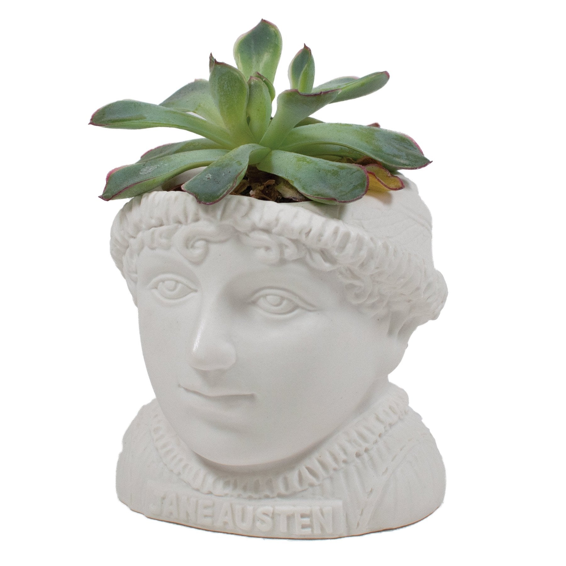 fertile minds planter Fertile Minds Planters