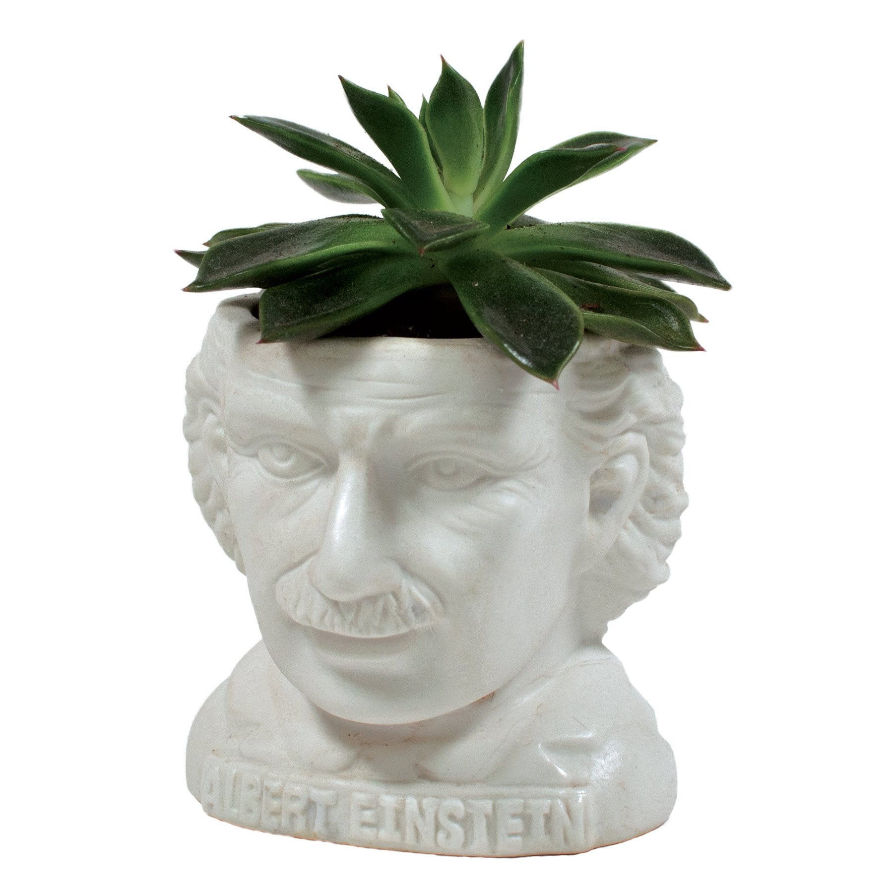 fertile minds planter Fertile Minds Planters