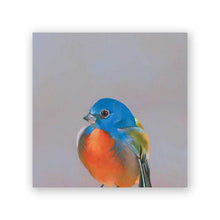Load image into Gallery viewer, Bluebird - Wings on Wood Collection
